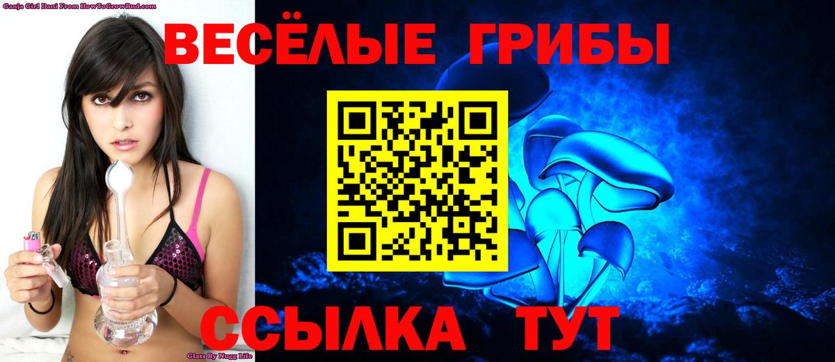 Дмитров  Псилоцибиновые грибы прущие грибы  Псилоцибиновые грибы Psilocybine cubensis  Вход с VPN 